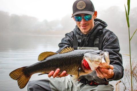 7 Baits for Fall Bass Fishing