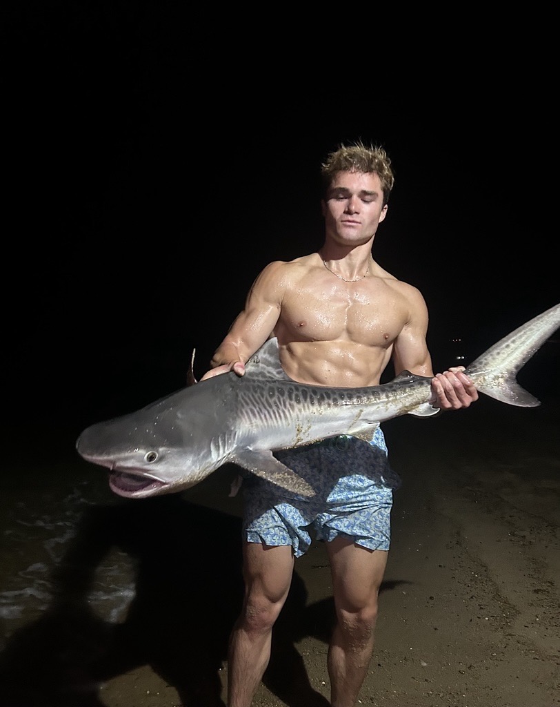 tiger shark on Cape Cod