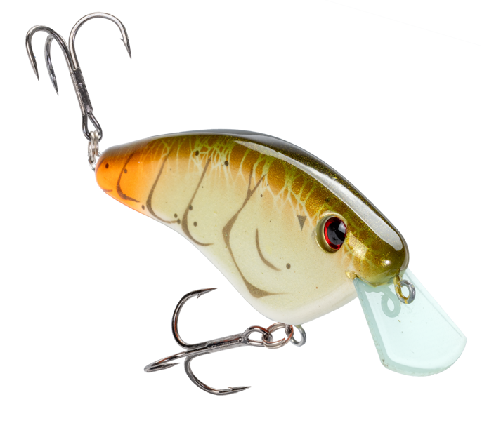 fall bass fishing baits
