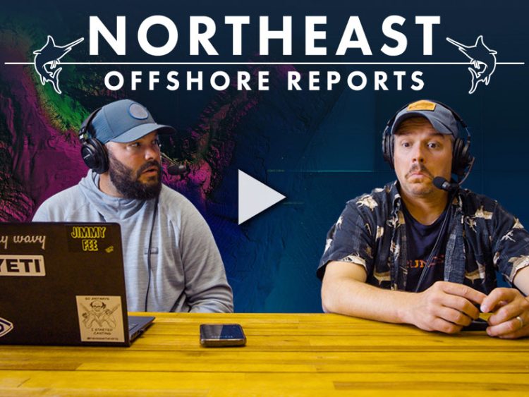 Aug 29, 2025 Offshore Fishing Report