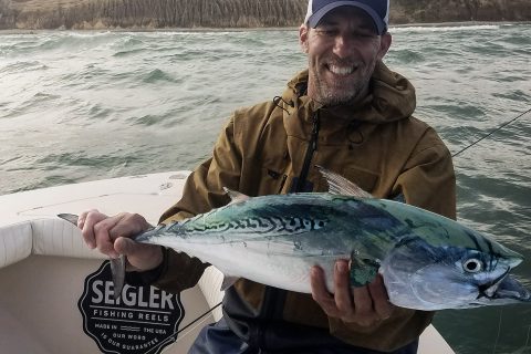 How to Catch Albies in Montauk