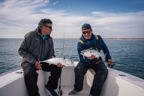 Albies by the Area Code