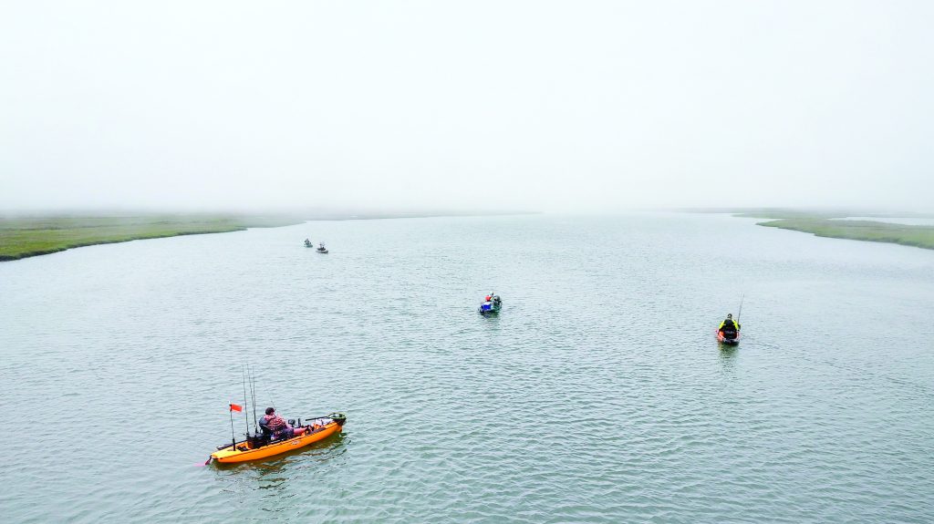 tagging fluke in NJ bays