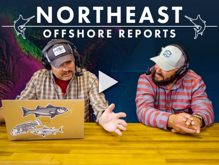 Sept 3, 2025 Offshore Fishing Report