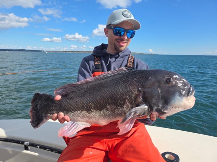 Get Tight Sportfishing tautog
