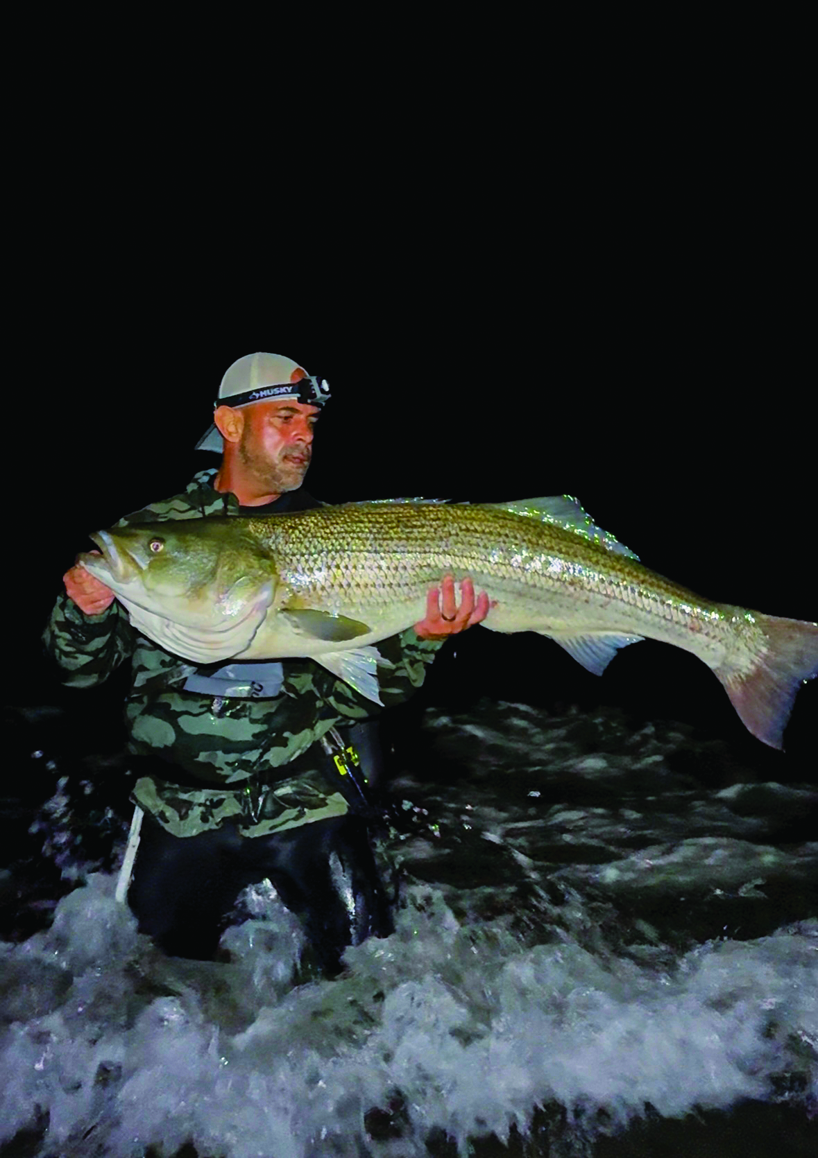 Build Confidence in the Needlefish