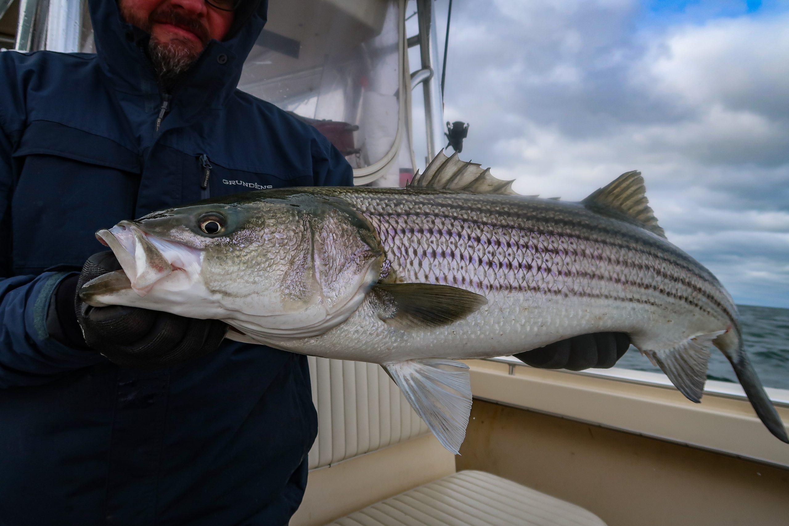 32 Gifts for Striped Bass Fishermen | 2025 Angler&rsquo;s Gift Guide