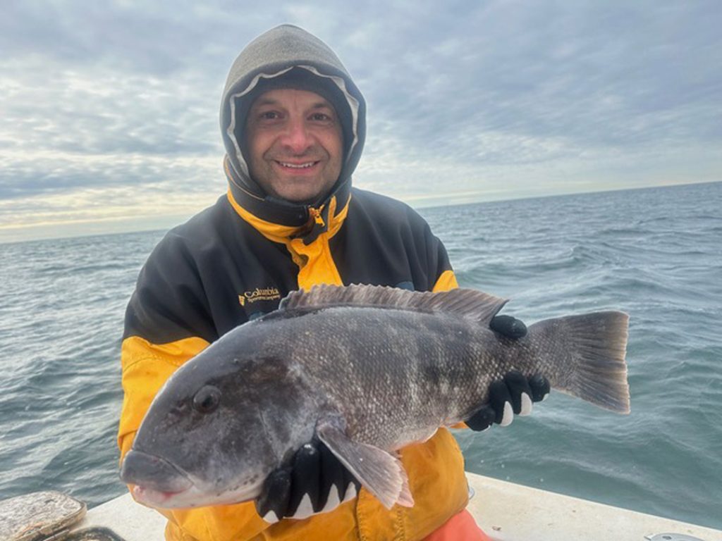 Little Sister tautog