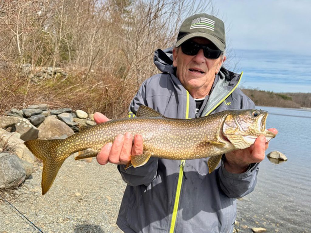 lake trout
