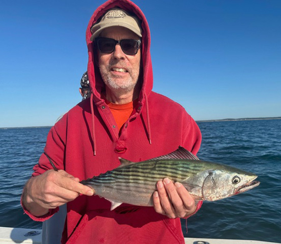 Little Sister bonito