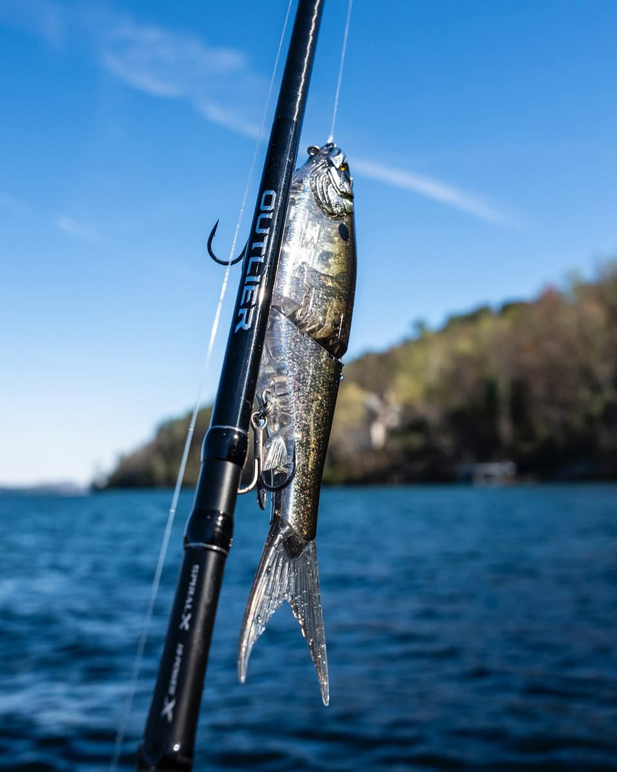 Shimano Gravitator 220 SS glidebait