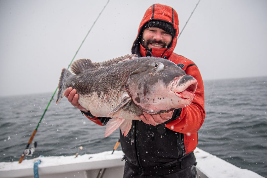 catching blackfish in a blizzard