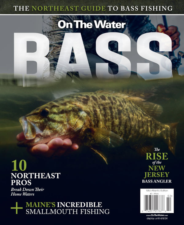 BASS special issue cover