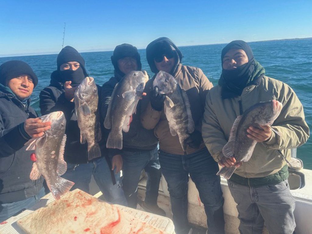 Little Sister tautog