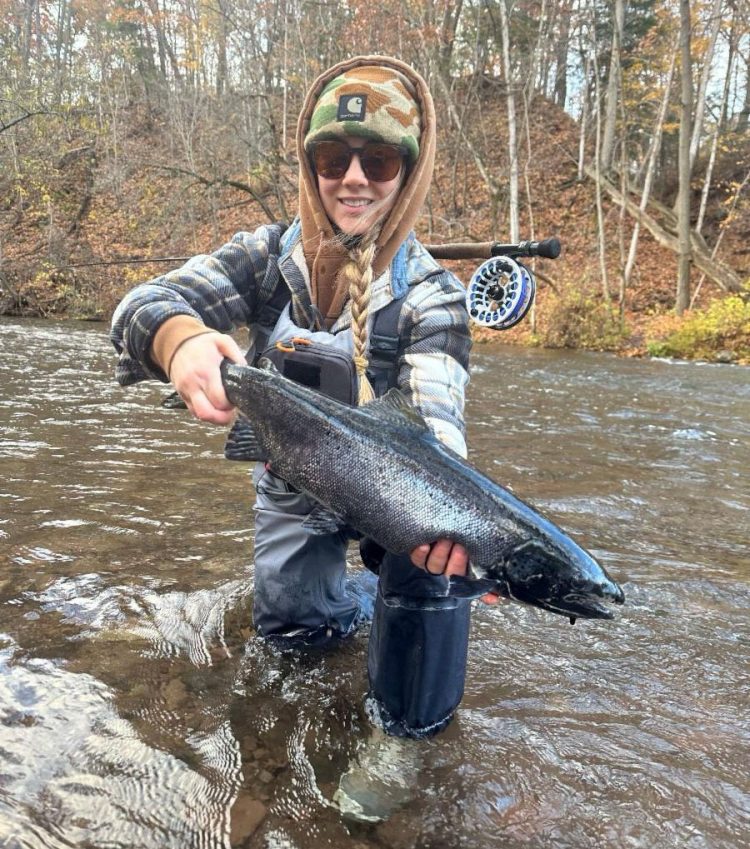 Atlantic salmon