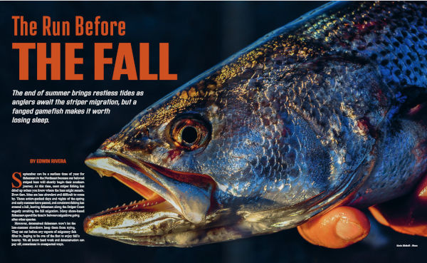 OTW Feature Article with a Black and Purple Lure Close Up