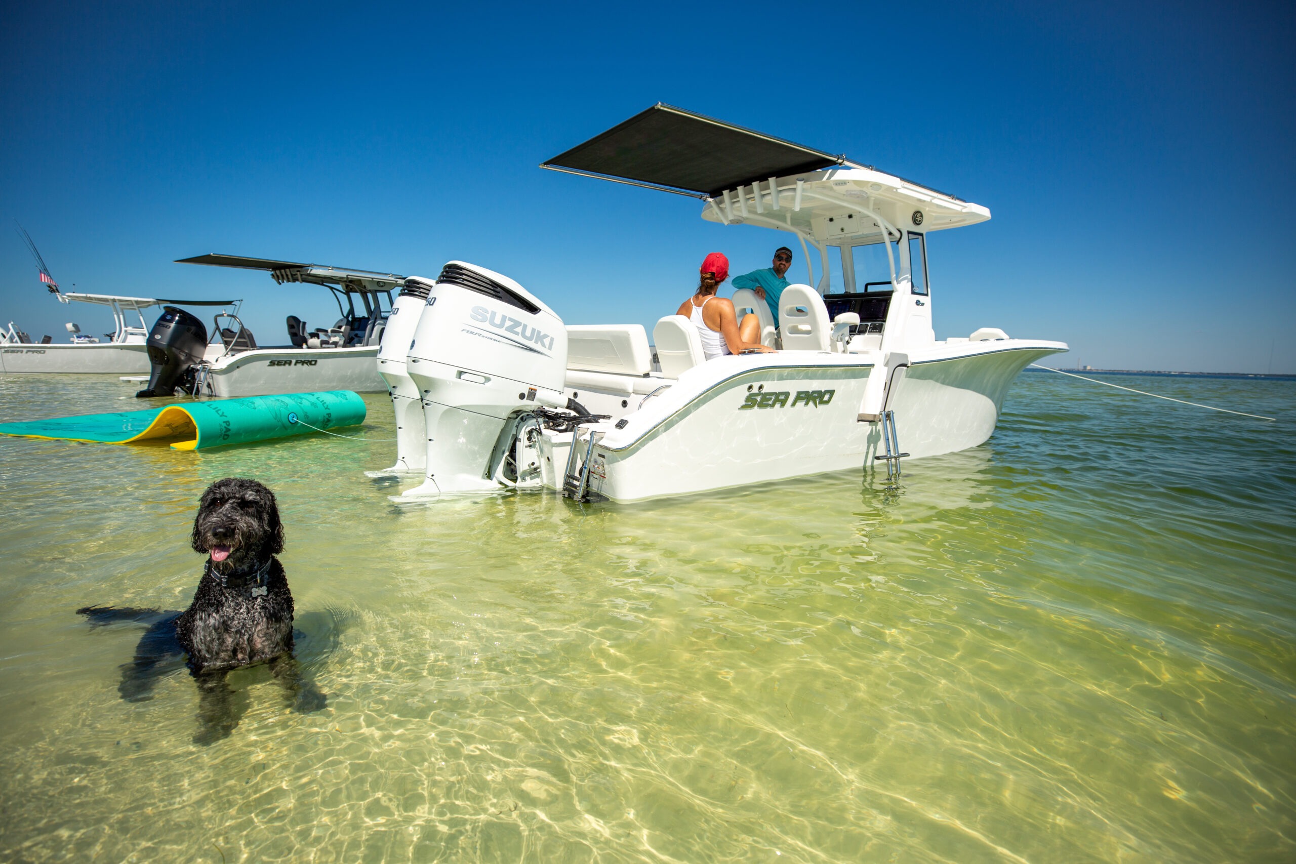 First Look: Sea Pro 265 Sandbar Boat Video Walkthrough