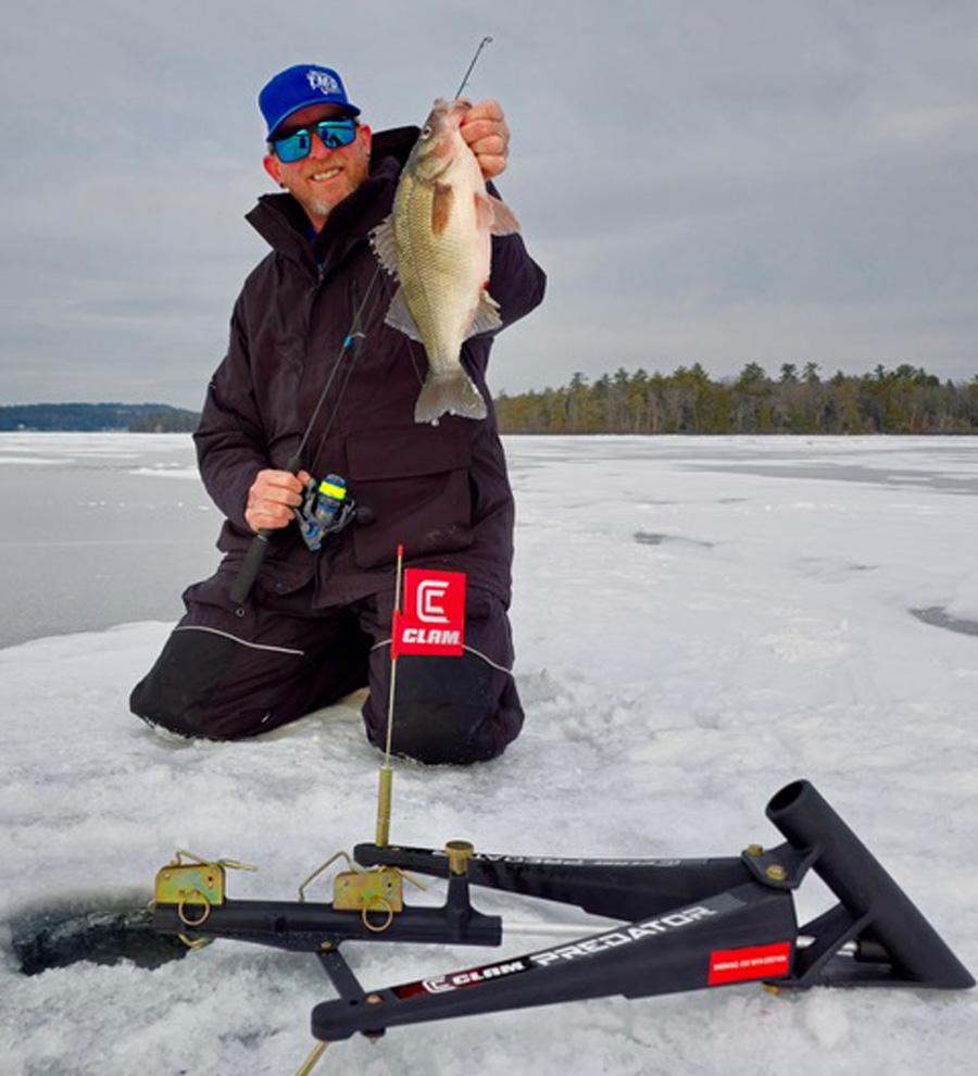 Winnipesaukee white perch