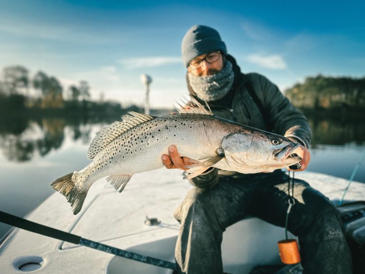Chesapeake Bay speckled trout
