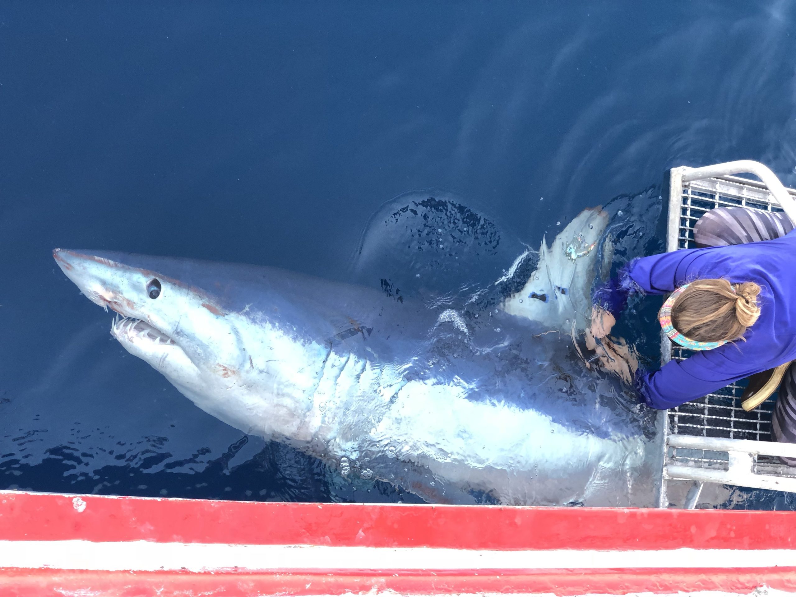 Fishing Apparel Company Has Put More Than $9 Million Back Into Conservation