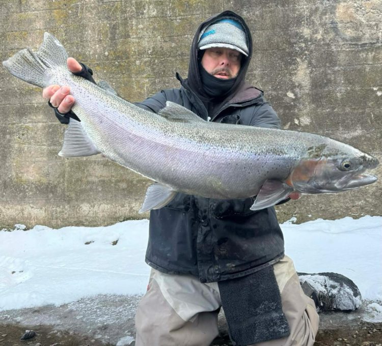 big steelhead