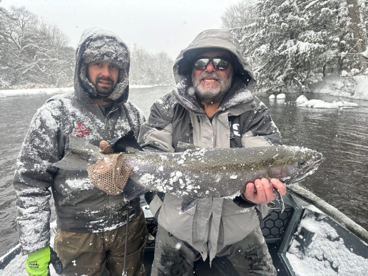steelhead in the snow