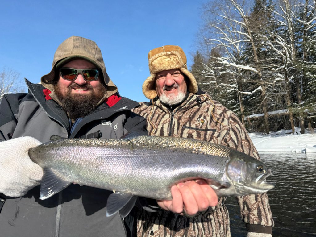 Salmon River steelhead