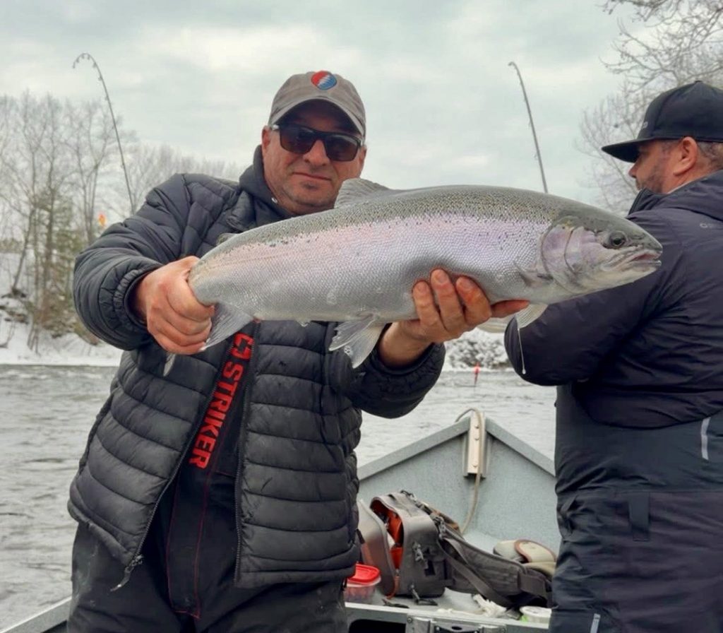 Salmon River steelhead