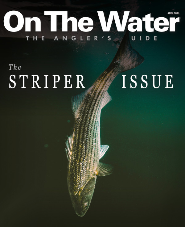 The Striper Issue cover