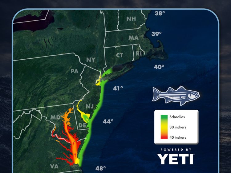 OTW Striper Migration Map thumbnail March 27, 2026