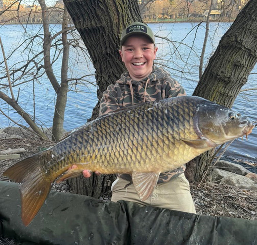 Big carp