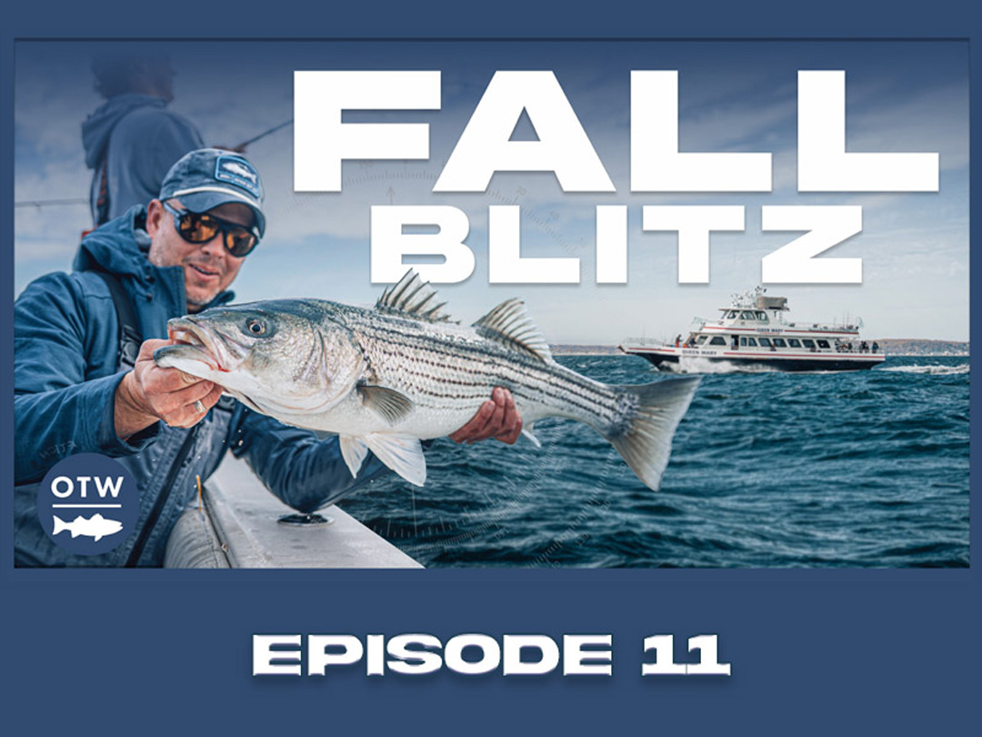 OTWAA: The Fall Feed