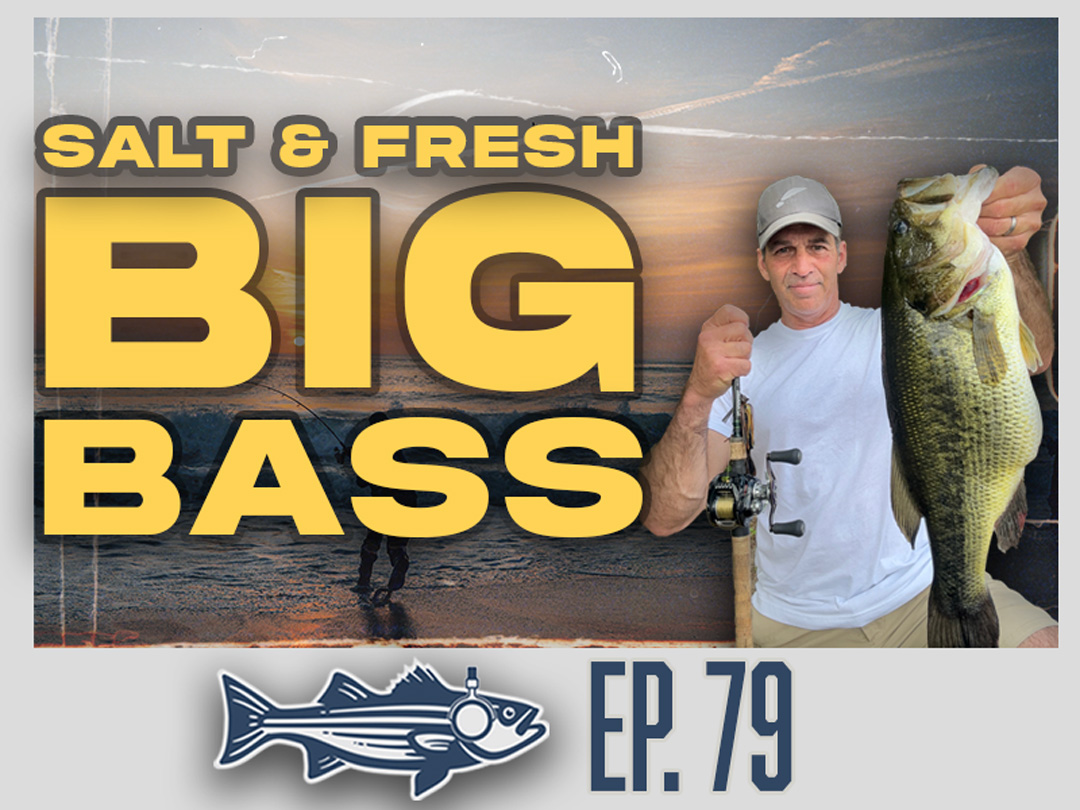 Outer Cape Stripers to Small Pond Largemouths with Mike Luccini