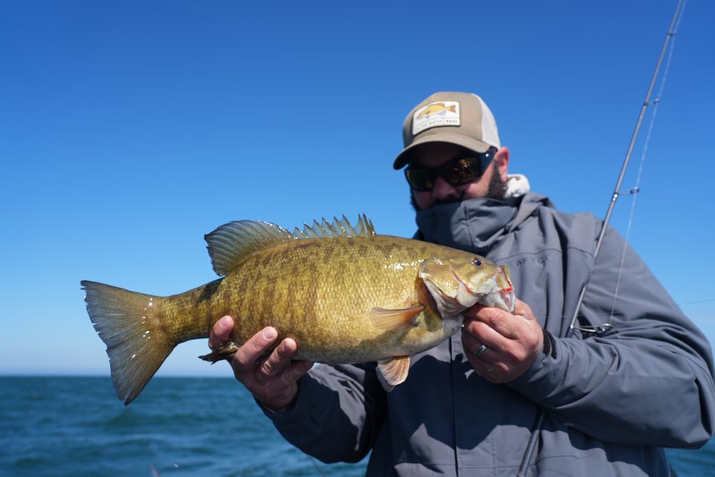 catching smallmouth on Lake Erie