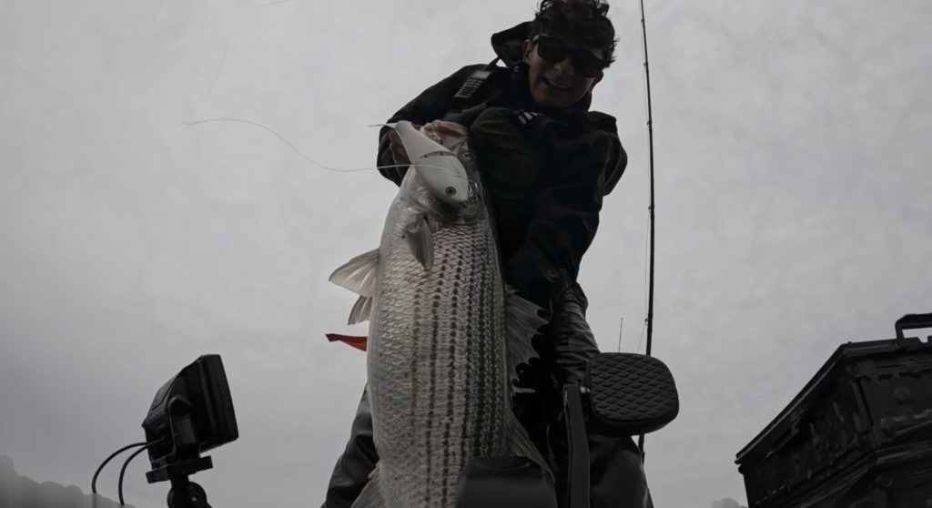 striper glide bait fishing from the kayak