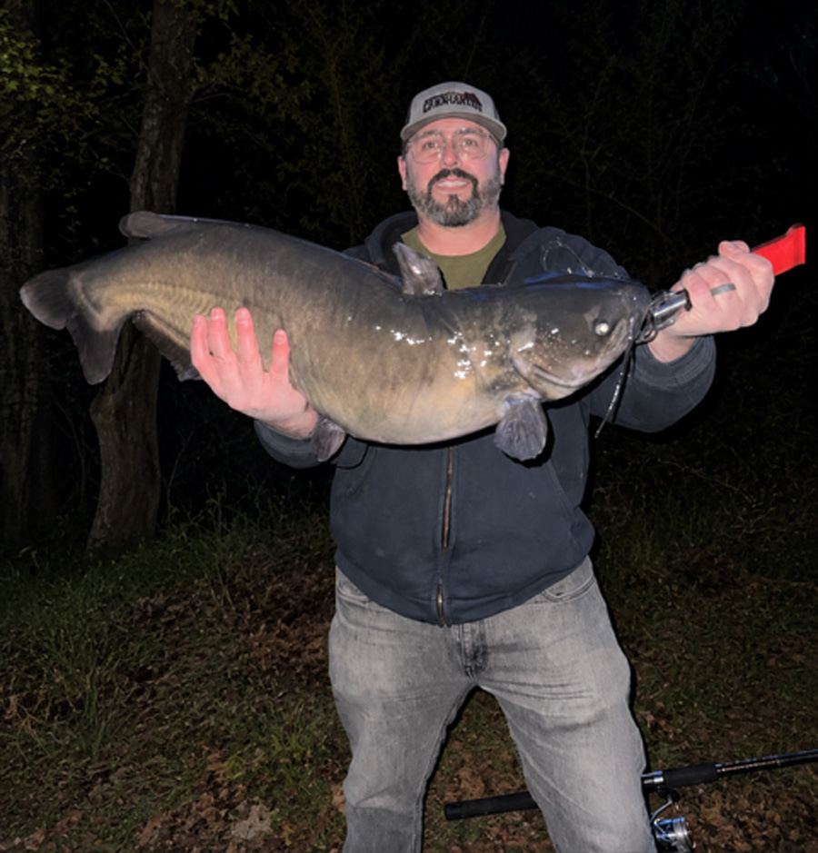 18 pound channel catfish