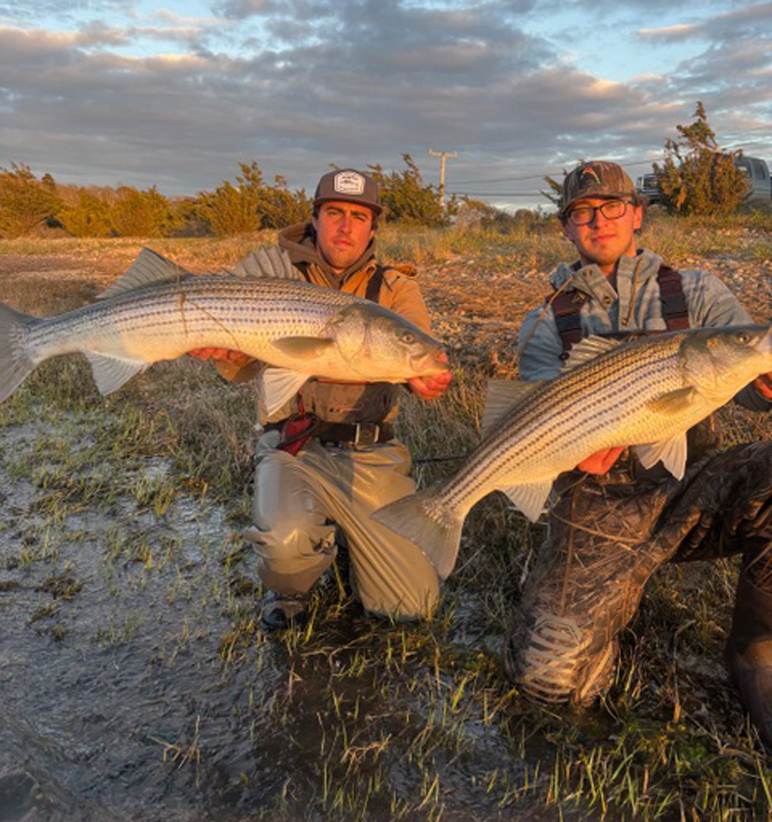 South Shore stripers
