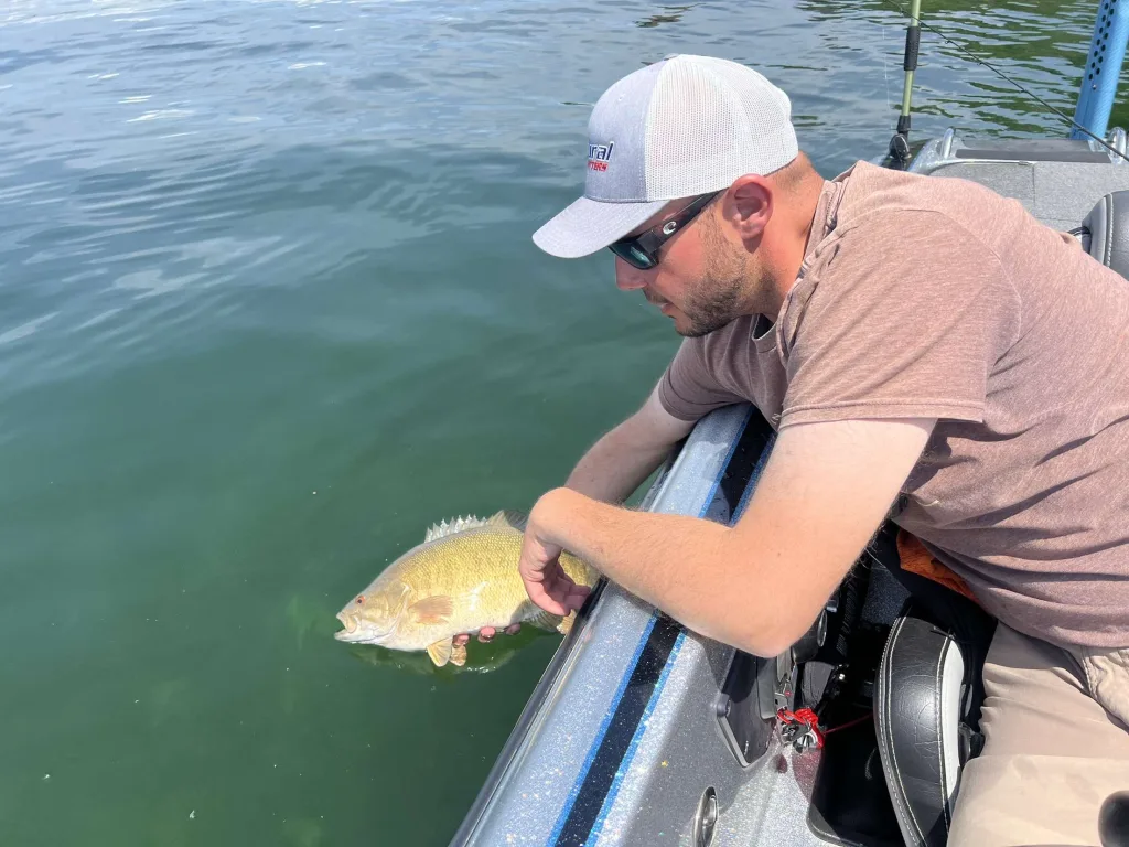 post-spawn bass fishing baits and tactics
