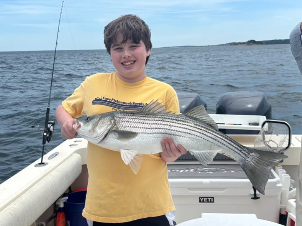 Legit Fish Charters striped bass