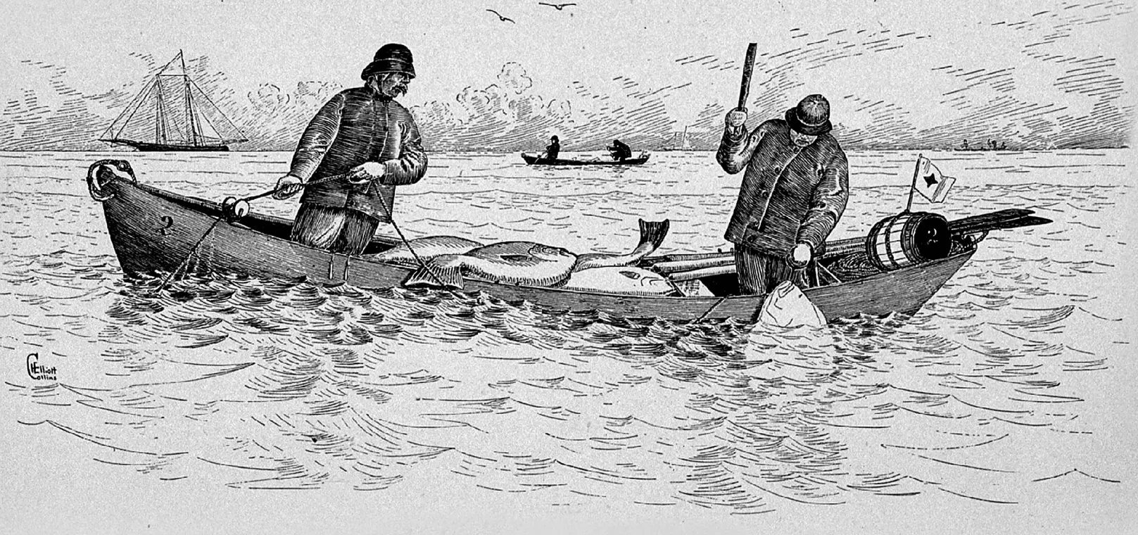 The Tragic History of the Atlantic Halibut in New England