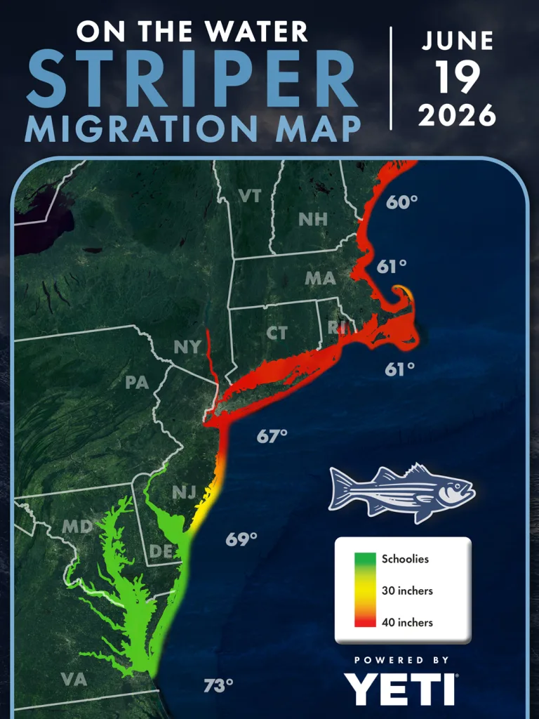 Striper Migration Map June 19, 2026