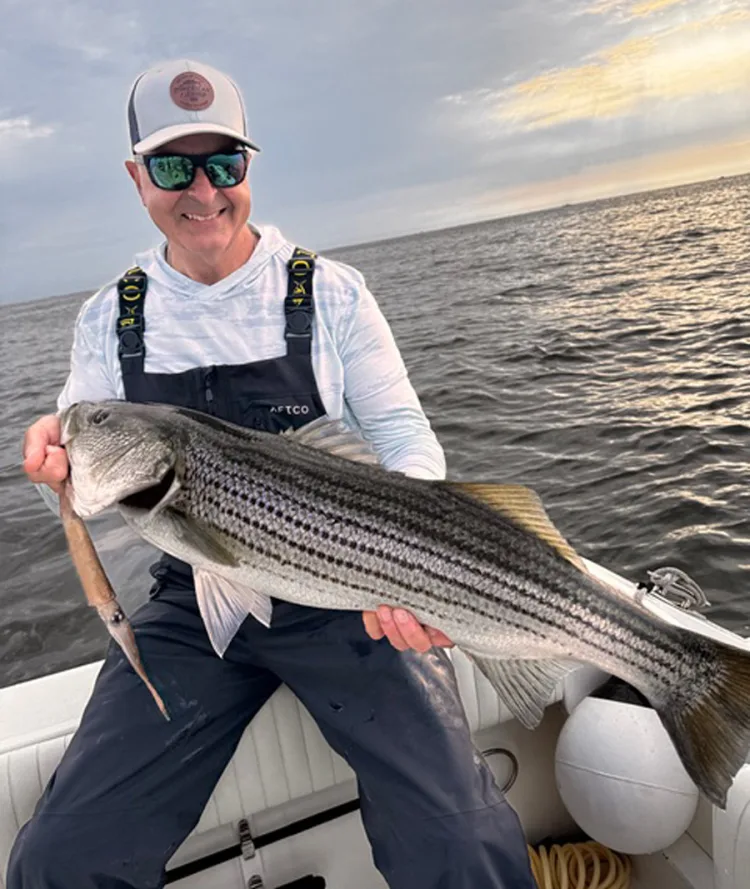 deepwater ledge striped bass