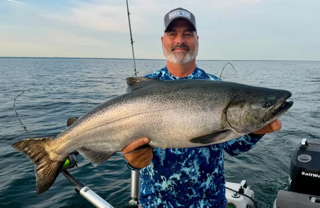 king salmon