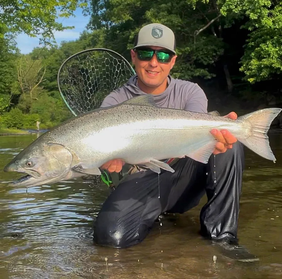 DSR salmon