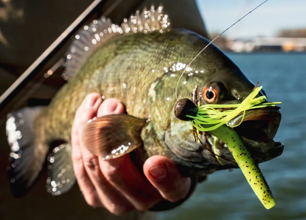 Z-Man TRD Finesse Jig in the lip of a smallmouth bass