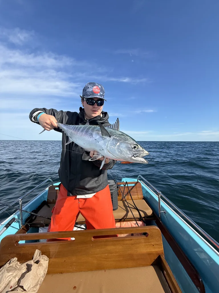 Nantucket's false albacore are extra-large compared to the fish most light-tackle inshore anglers are accustomed to catching. 
